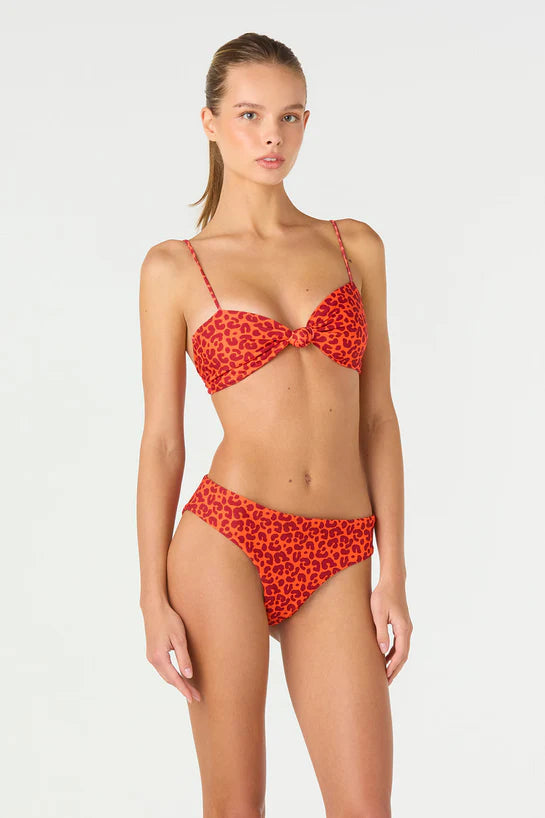 AMBER ROAR GIA ANDY