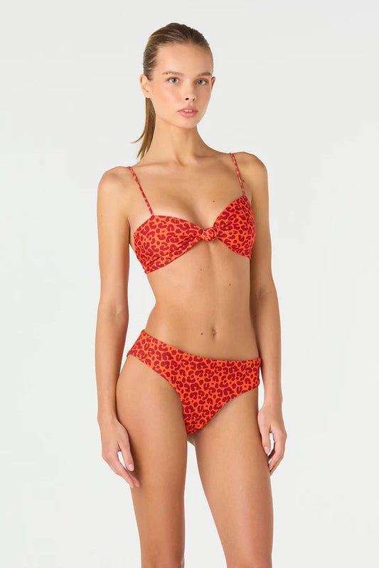AMBER ROAR GIA ANDY